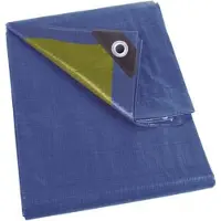 Perel Dekzeil - Afdekzeil - Waterdicht 110 g/m² met 54 ringen - Blauw/Groen