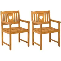 vidaXL Tuinstoelen 2 pcs Naturel Massief Acacia Hout