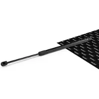 RIDEX 219G1629 Gasveer achterklep