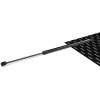 RIDEX 219G1910 Gasveer achterklep