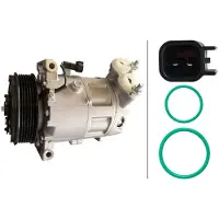 Hella 8FK 366 203-181 Aircopomp