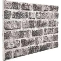 vidaXL Wandpanelen 10 st 100 x 50 cm Donkergrijs en Wit EPS-schuim