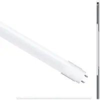 Paulmann LED-buis-Buis Energielabel: F (A - G) G13 22 W Daglichtwit 1 stuk(s) (Ø) 28 mm
