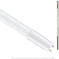 Paulmann LED-buis- Energielabel: E (A - G) G13 T8 22 W Daglichtwit 1 stuk(s) (Ø) 27 mm