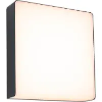 Paulmann Azalera 94840 LED-buitenlamp (wand) LED 8.5 W Antraciet