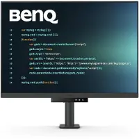 BenQ RD280UA 28 inch monitor Zwart