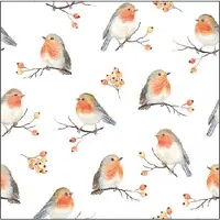 Ambiente Servetten Robin Family 25cm