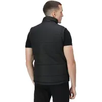 Regatta Heren Steller Thermo-Guard Bodywarmer / Gilet (Zwart)