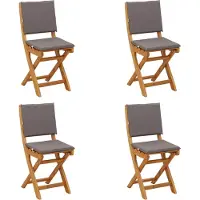 vidaXL Buiten bistrostoelen, 4 stuks, donkergrijs, massief acaciahout
