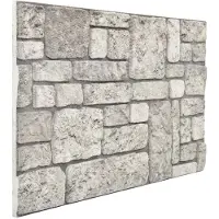 vidaXL Wandpanelen 10 st 100 x 50 cm Grijs EPS-schuim