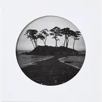 Steidl Interart A DISTANT SHORE