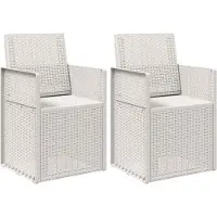 vidaXL - Tuinstoelen - 2 - st - Wit - PP