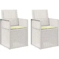 vidaXL Tuinstoelen 2 st Wit en crèmekleurig PP