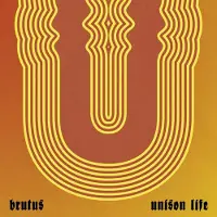 Virgin Music Group B V Cnt UNISON LIFE