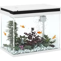 PawHut Aquarium, 41 Liter Glas-Aquarium mit Filtersystem, LED-Lichtern, Wasserpumpe, Kompaktes Aquarium für verschiedene Fischarten, Weiß
