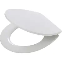 Tiger Convert - WC bril - 100% Recycled Thermoplast - Soft Close - Afklikbaar - Slim Line Design - Topfixing