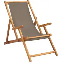 vidaXL Zonstoel Taupe Massief Teakhout