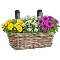 Mica Decorations Hangmand voor planten - 30 x 19 x 15 cm - gevlochten - hangende railing plantenbak - beugels