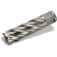 Fein HSS-Nova 50 63134170052 Kernboor 17 mm 1 stuk(s)