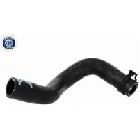 VAICO Radiateurslang Green Mobility Parts V10-9008
