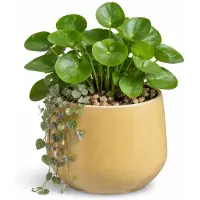 Mica Decorations bloempot / plantenpot Venice - beige - terracotta - D16 x H13 cm - effen