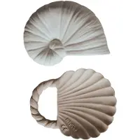 Natruba Shell+nautilus Toys Set 2 Units Beige