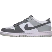 Nike Sneakers 'Dunk' grijs / donkergrijs / wit