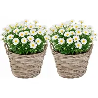Mega Collections plantenmand Heeg - 2x - rotan - D30 x H23 cm - lichtbruin/grijs - met handvaten