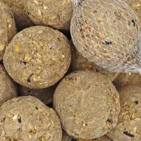 KLASEBO Mezenbollen 100 x ca.90 gram met net, vogelvoer, vetbollen