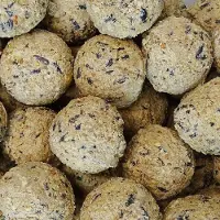 KLASEBO Mezenbollen zonder net, Vogelvoer 200 x ca.90 g voor vogels
