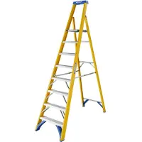 Kippers Rijssen Fiberglass Trap Werner platform stepladder | 1x8 - 7170818