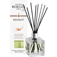 Maison Berger Geurstokjes Glaçon 100ML Pétillance Exquise