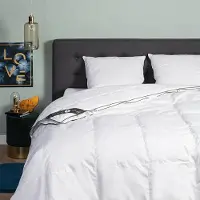 Presence Dekbed Dons - 100% Eendendons - 4 Seizoenen 260 x 220 cm