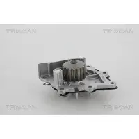 TRISCAN 8600 28021 Waterpomp