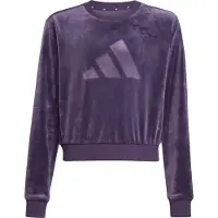 Superdry Winterjas zwart