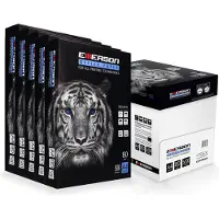 Iso Trade Papier xero A4 80g karton - 5 Ryz