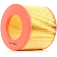 RIDEX 8A0138 Luchtfilter