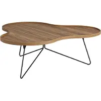 Swedese Flower mono tafel Special Edition 107x114 cm H39 cm-gelakt walnoot-zwartgelakt staal