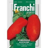 Franchi - Tomaat, Pomodoro Scatolone 106/116