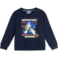 Sonic Sweatshirt