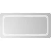 vidaXL Badkamerspiegel LED 40x80 cm