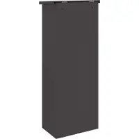 vidaXL Pakket Inwerpkoker met opslag Zwart 44,5 x 29 x 110,5 cm Staal