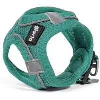 Big Buy Cooking Hondentuig Gloria Trek Star, turquoise, maat XS, geschikt voor een borstomvang van 27-28 cm of 31-34,6 cm