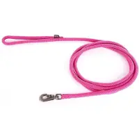 Martin sellier Hondenriem nylon rond roze