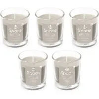 Spaas Geurkaars in glas - Set van 5 kaarsen - Katoenbloesem en Muskus - circa 25u - Mindful Morning