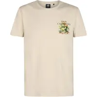 Petrol Industries Shirt 'Magma' beige / gemengde kleuren