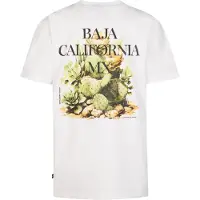Petrol Industries Shirt 'Corrido' groen / zwart / wit