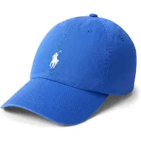 Ralph Lauren Pet 'CLS SPRT' blauw