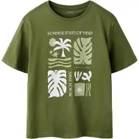 Name it Shirt 'NKMJoel' olijfgroen / pastelgroen / wit