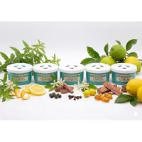 HygieneShopBasics SET: 5 St. Smart Air Navullingen, F-Matic, milieuvriendelijk geuren, Citroen, Tot 60 dagen frisheid